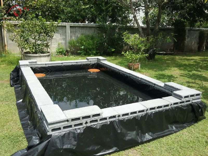 làm hồ cá mini đẹp