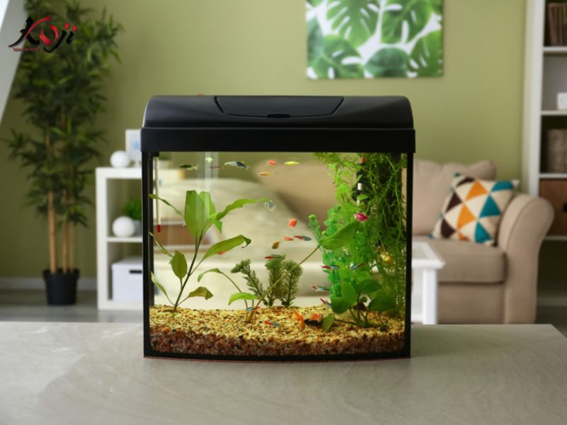 làm hồ cá mini đẹp