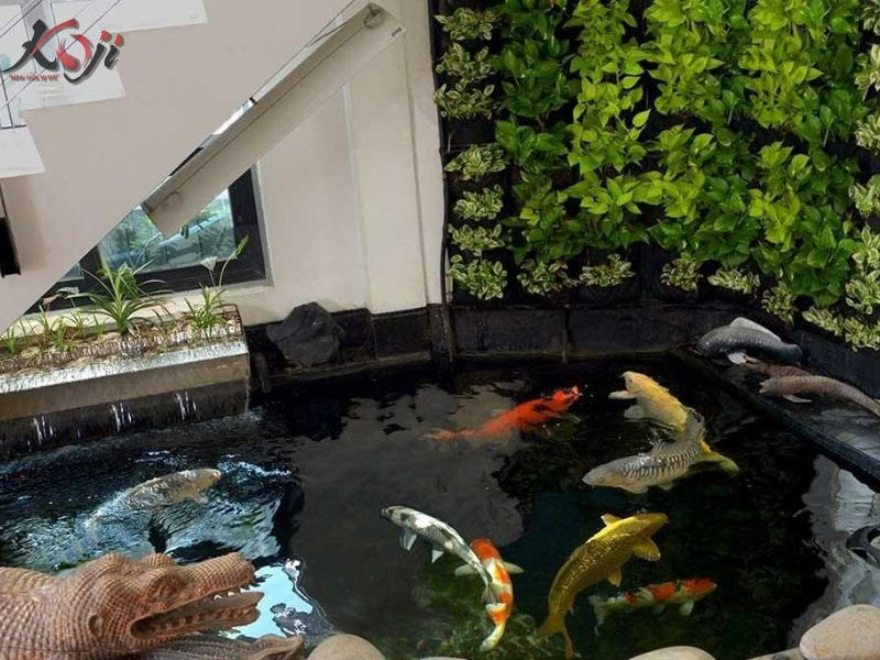 làm hồ cá mini đẹp