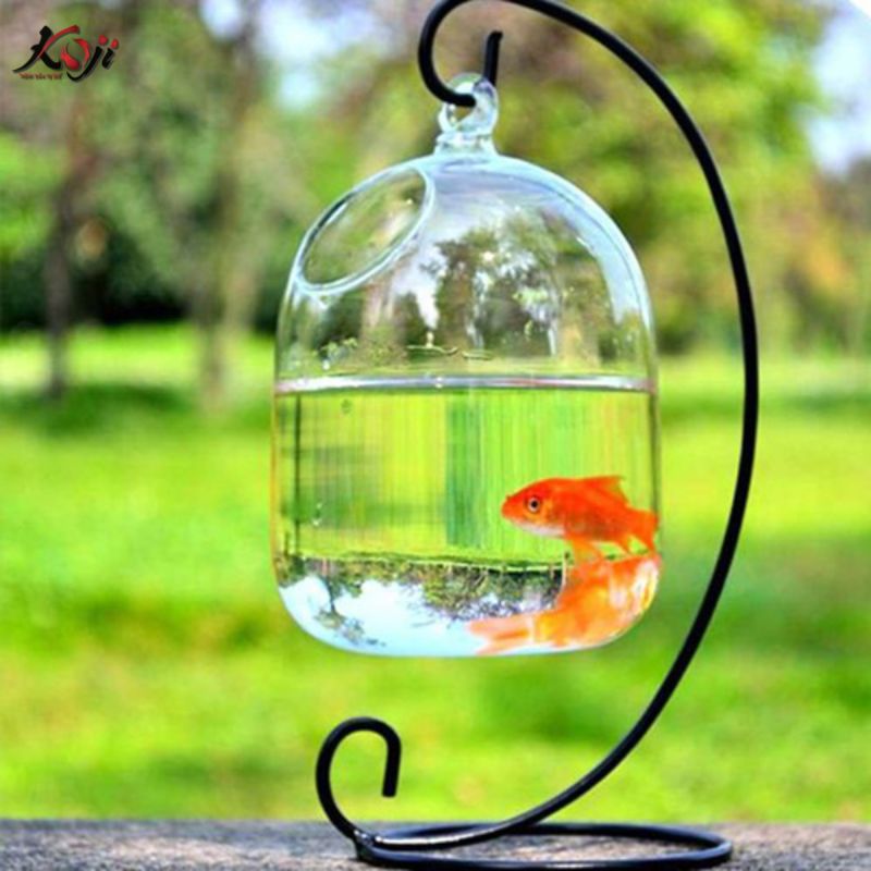 làm hồ cá mini đẹp