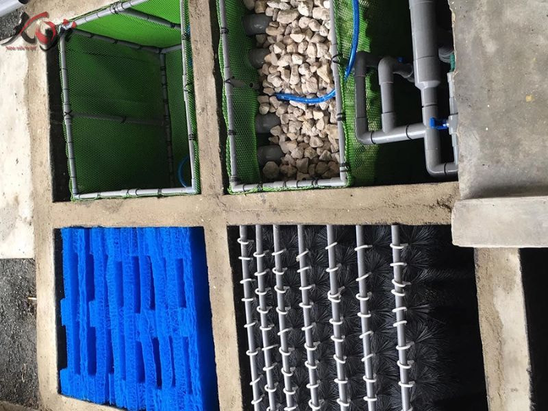 làm hồ cá mini đẹp