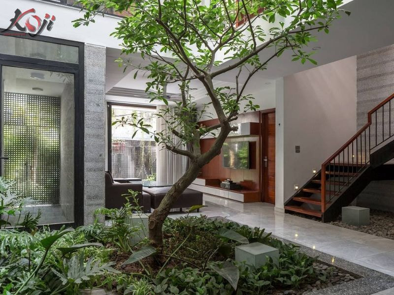 thiết kế sân vườn