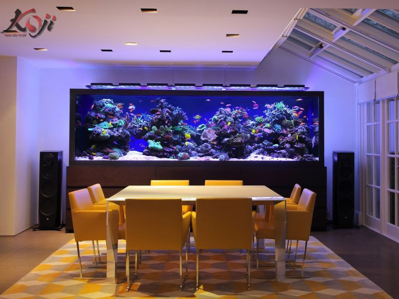 mẫu hồ cá đẹp trong nhà