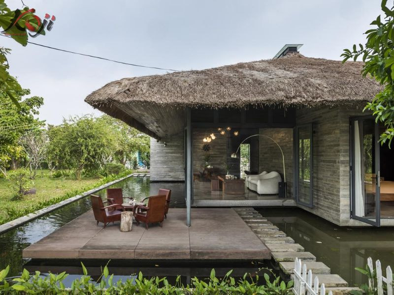 mẫu hồ cá đẹp trong nhà