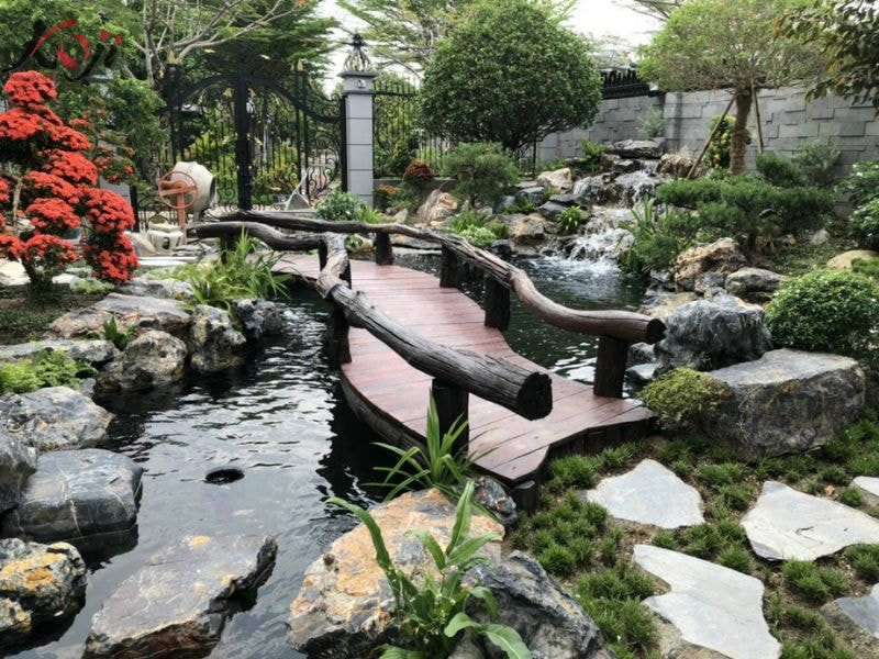 mẫu hồ cá đẹp trong nhà