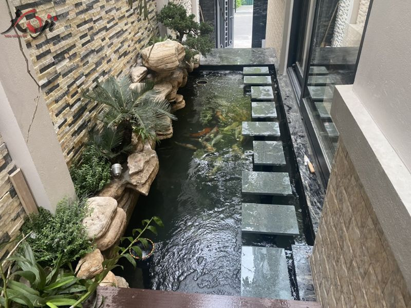 mẫu hồ cá đẹp trong nhà