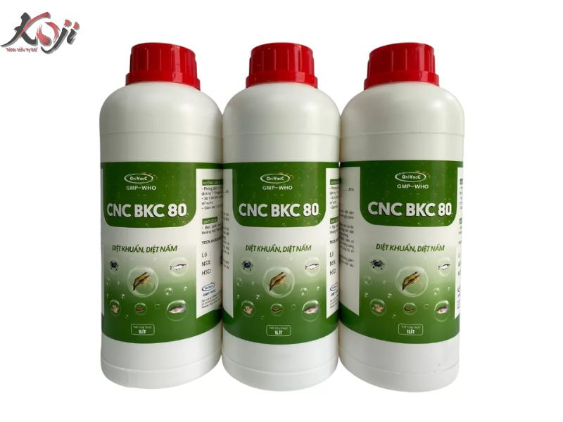 nấm trắng cá Koi