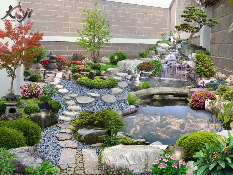 Diệt rong rêu hồ cá Koi