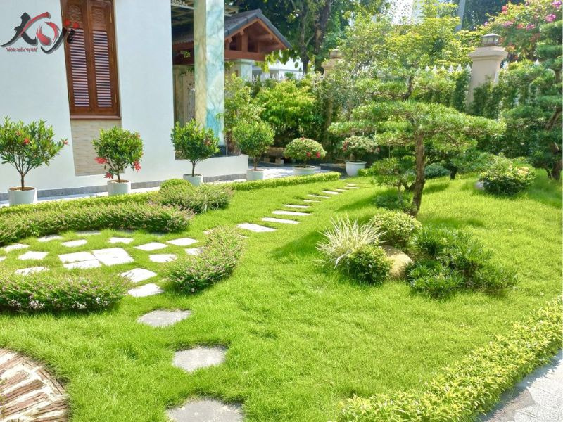 sân vườn nhà cấp 4