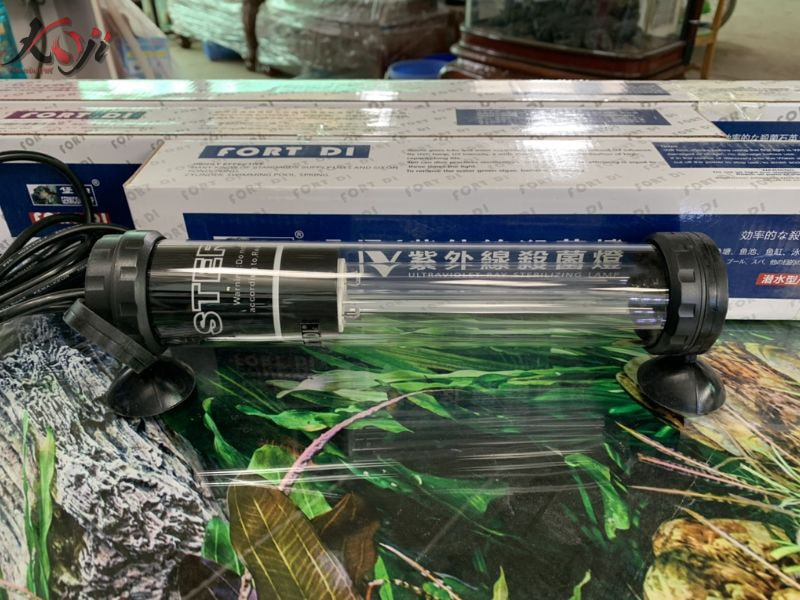 tại sao cá có mùi tanh