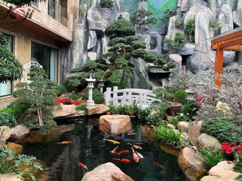 thi công hồ cá Koi Hải Phòng