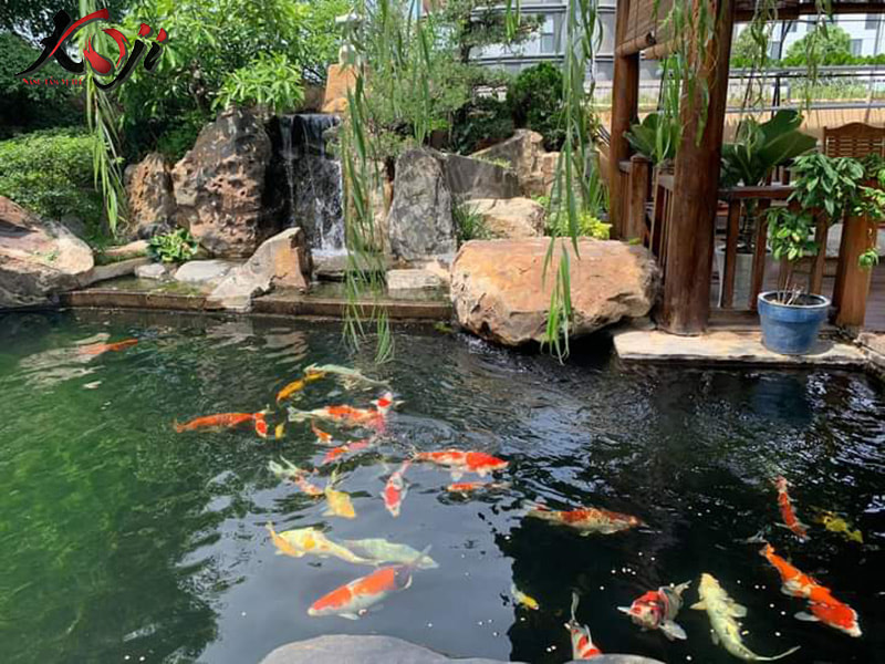 thiết kế sân vườn