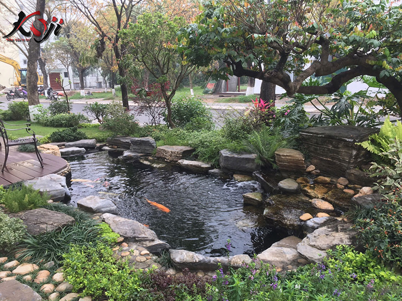 chi phí xây hồ cá koi