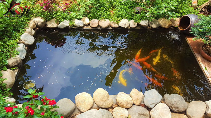 thiết kế sân vườn