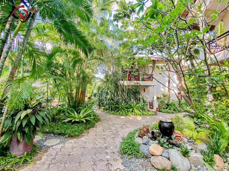 Thiết kế sân vườn biệt thự