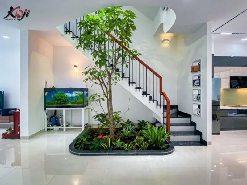 Thiết kế sân vườn nhà ống