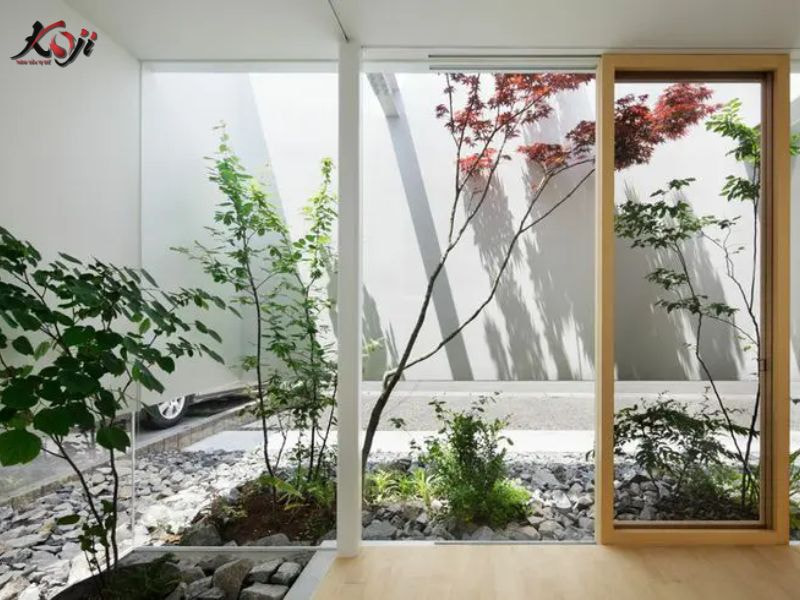 Thiết kế sân vườn nhà ống