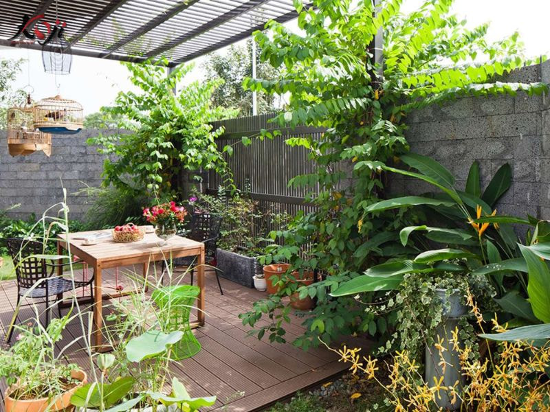 Thiết kế sân vườn nhà ống