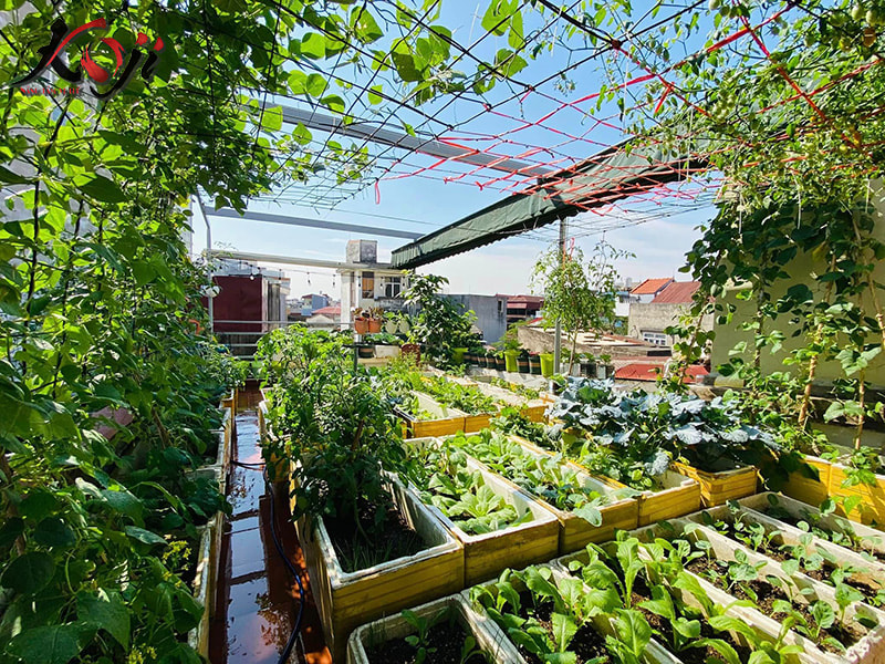 thiết kế sân thượng đẹp