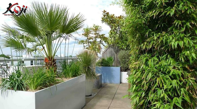 thiết kế sân thượng đẹp