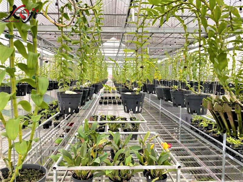 thiết kế sân thượng đẹp