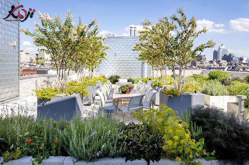 thiết kế sân thượng đẹp