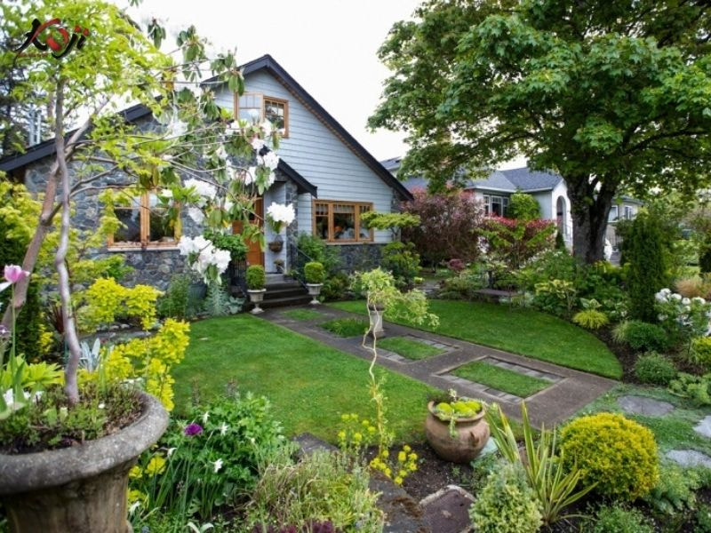 thiết kế sân vườn