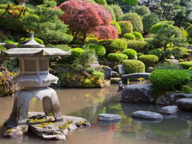 thiết kế sân vườn