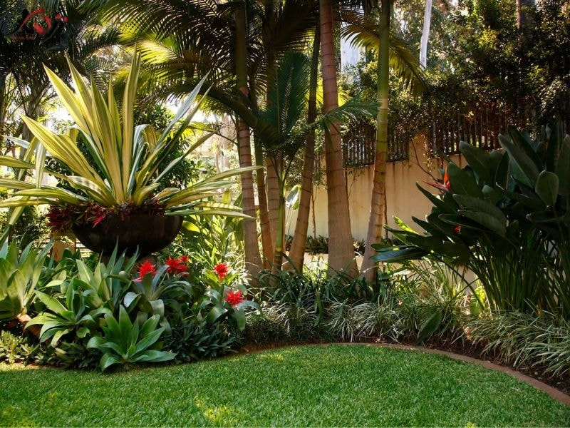 thiết kế sân vườn