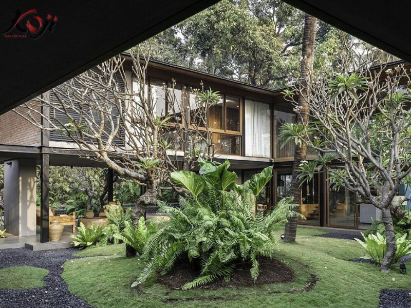 thiết kế sân vườn