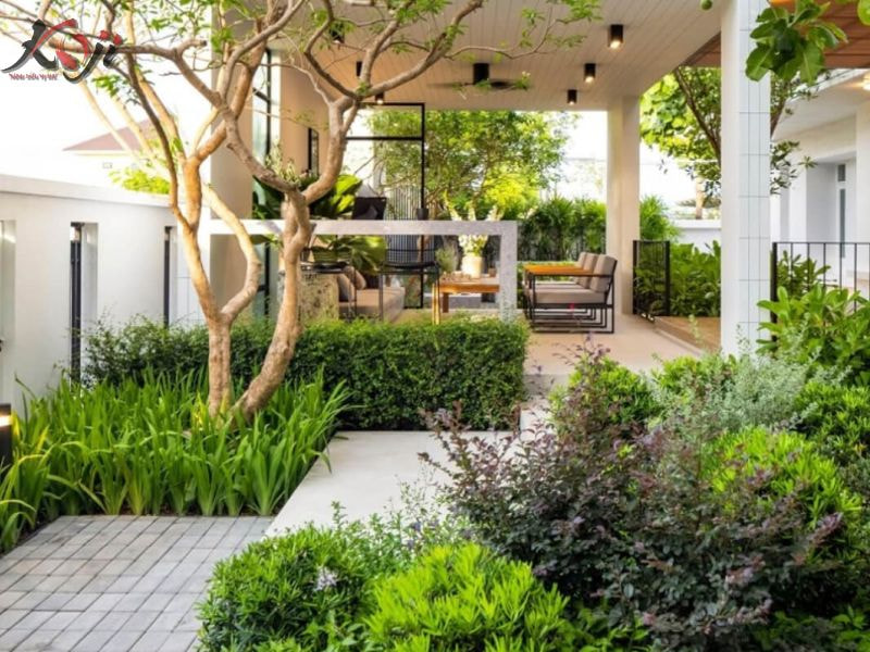 thiết kế sân vườn