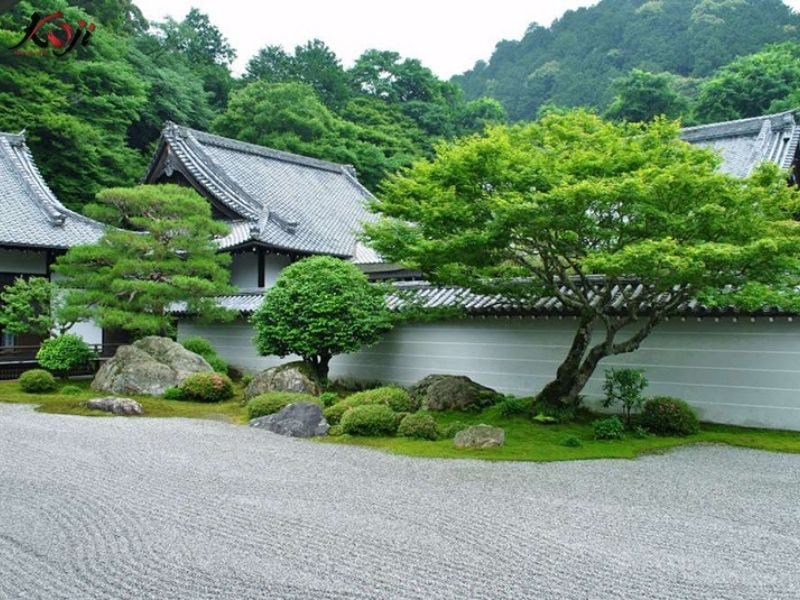 thiết kế sân vườn