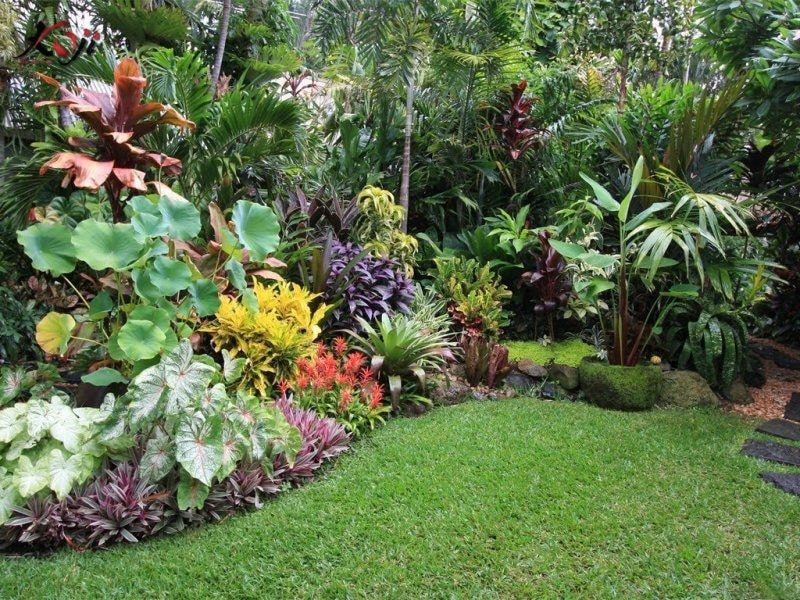 thiết kế sân vườn