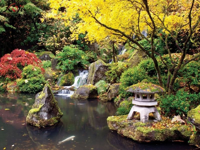 thiết kế sân vườn