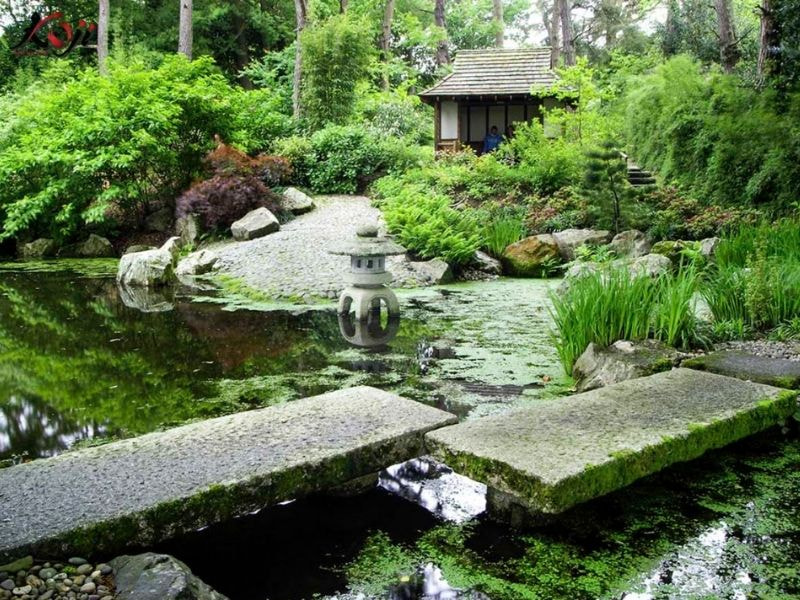 thiết kế sân vườn