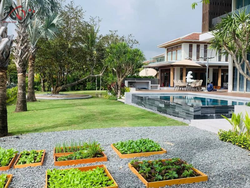 thiết kế sân vườn