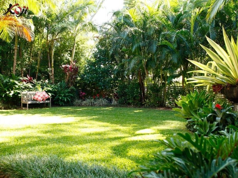 thiết kế sân vườn