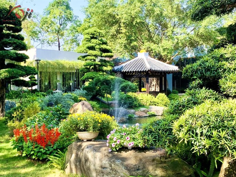 thiết kế sân vườn