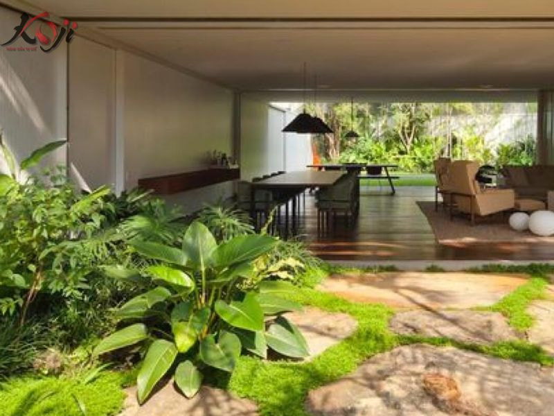 thiết kế sân vườn