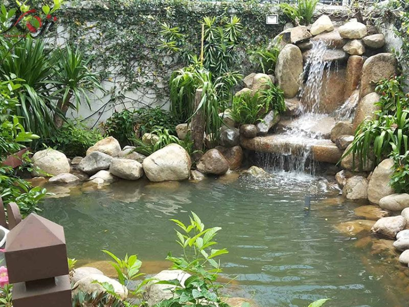 thiết kế sân vườn