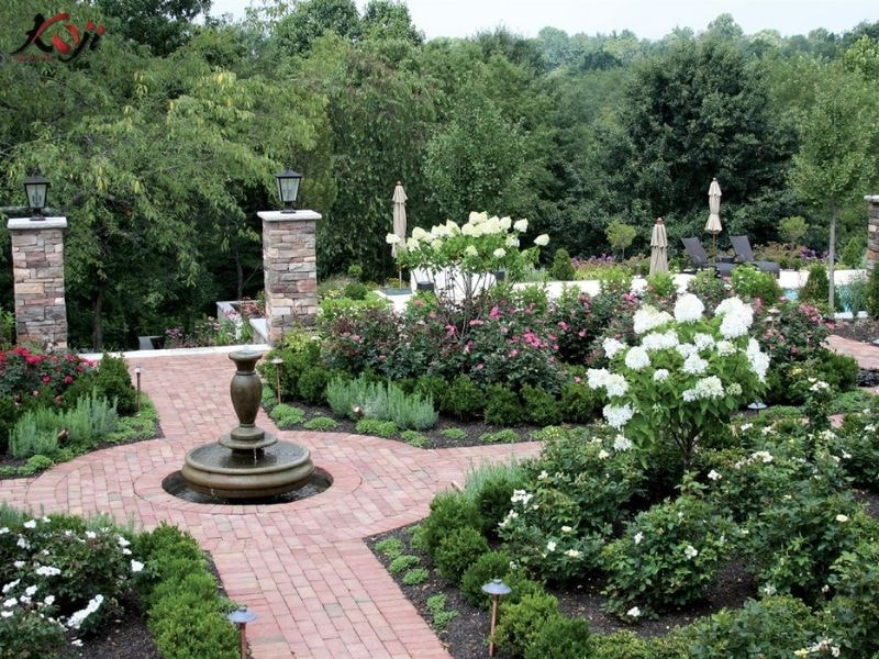 thiết kế sân vườn