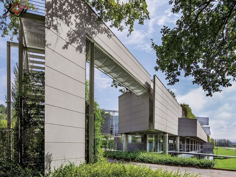 thiết kế sân vườn