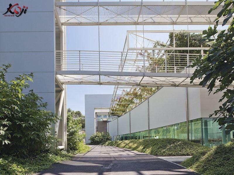 thiết kế sân vườn