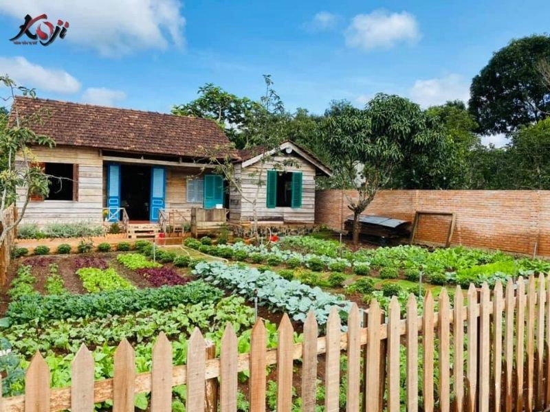 thiết kế sân vườn