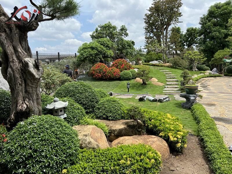 thi công sân vườn