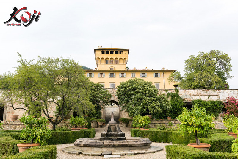 thiết kế sân vườn