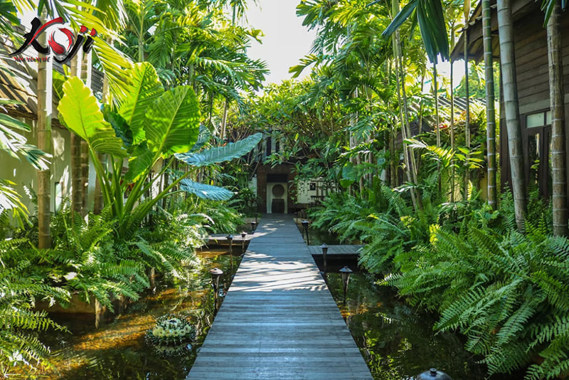 thiết kế sân vườn