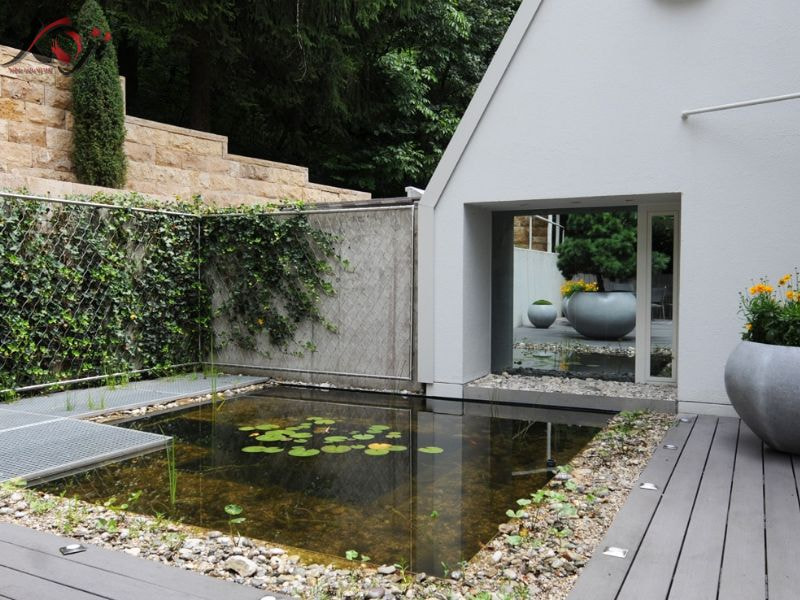 thiết kế sân vườn