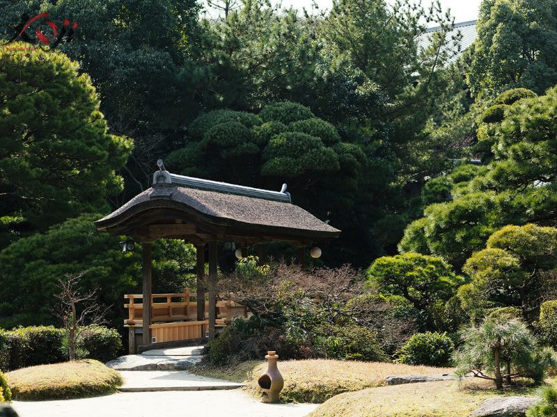 thiết kế thi công sân vườn