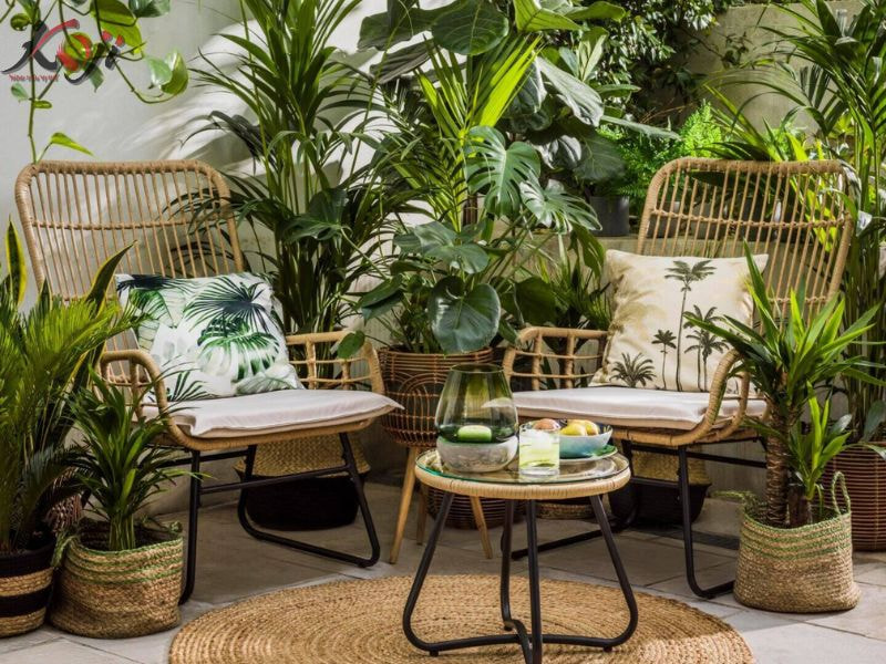 sân vườn sau nhà